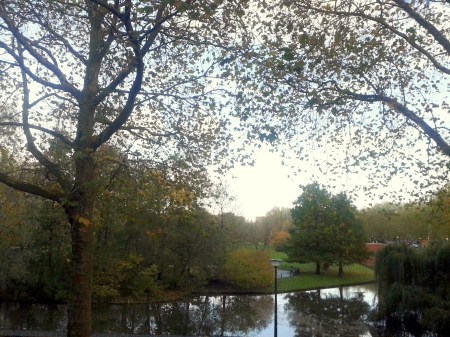 the park in a nice day