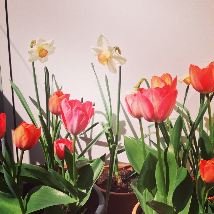 2015-04-12 14.52.27 HDR