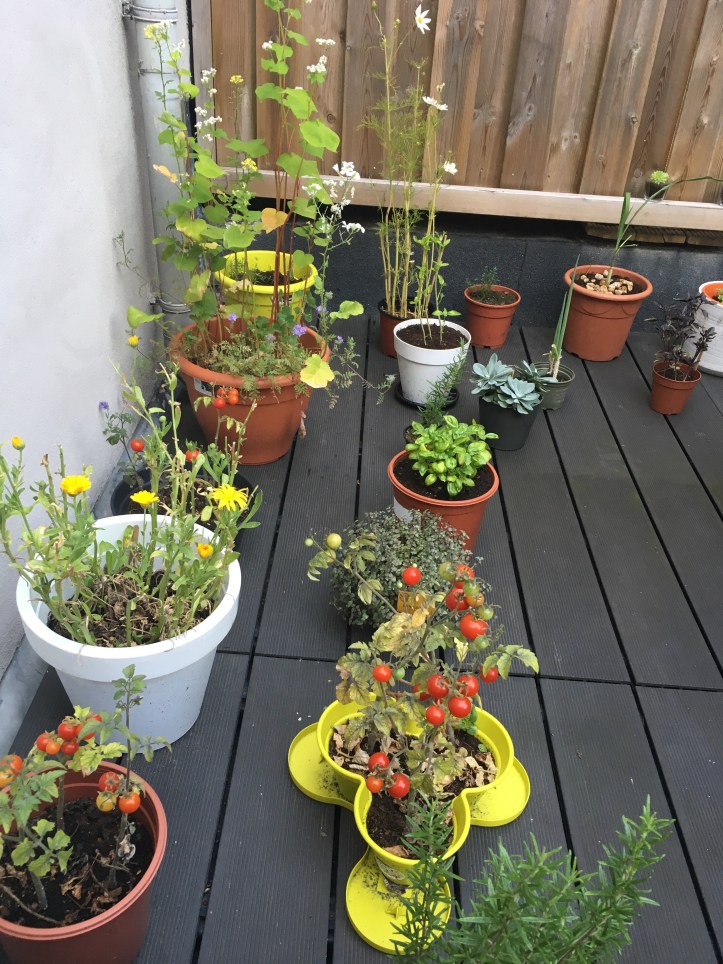 a series of small containers