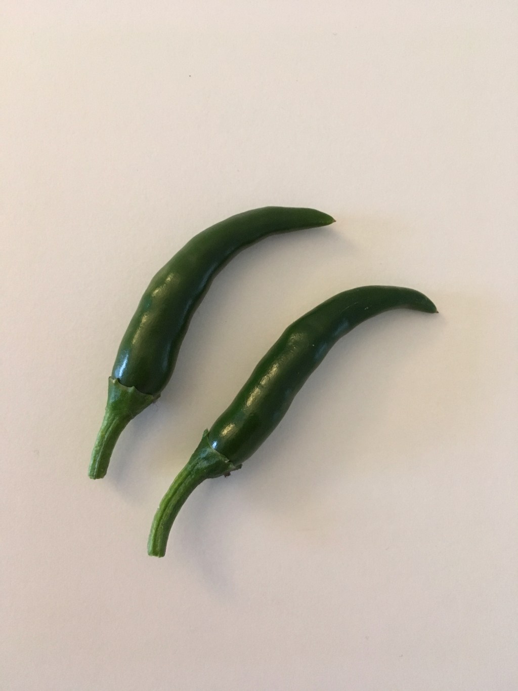 Growing Chillis Up North: Success and&nbsp;Failure