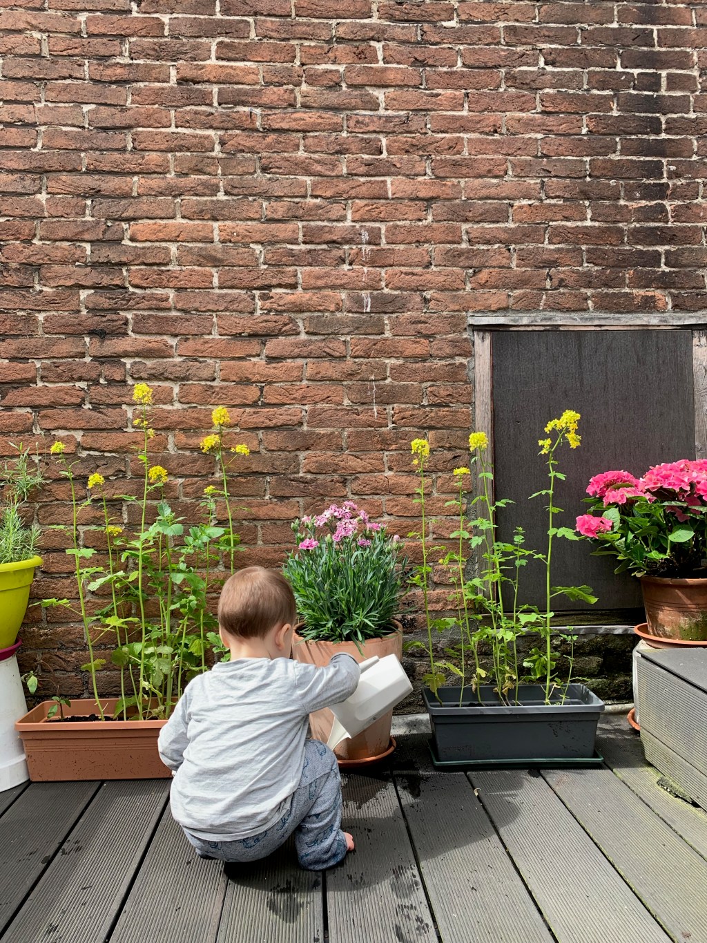 Gardening with a&nbsp;baby