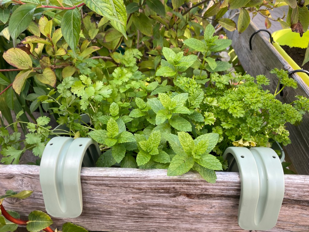 herb basket in a tiny space