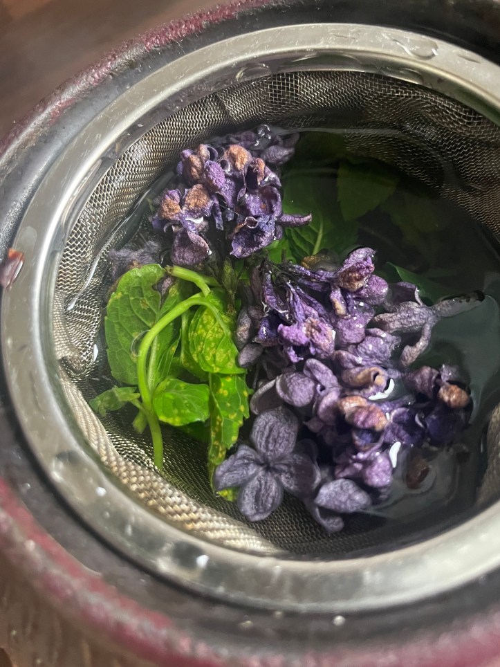 mint leaves and lilac flowers brewing in a pot