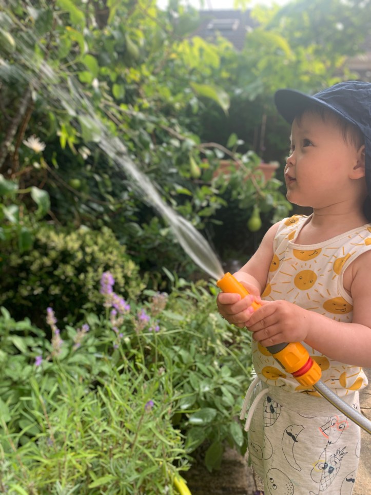 boy spraying water in the garden