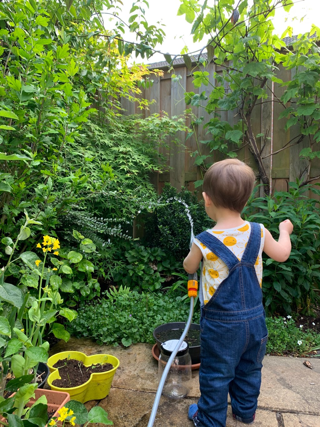 Get Kids Out In The Garden: 5 Fun Projects To&nbsp;Try