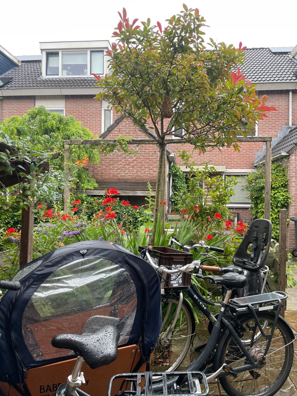 Front Garden: Bikes and Plants